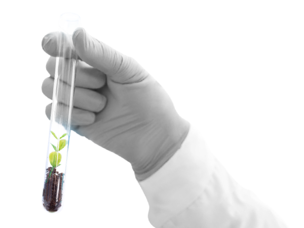 Transforming the future of research and development with innovative science